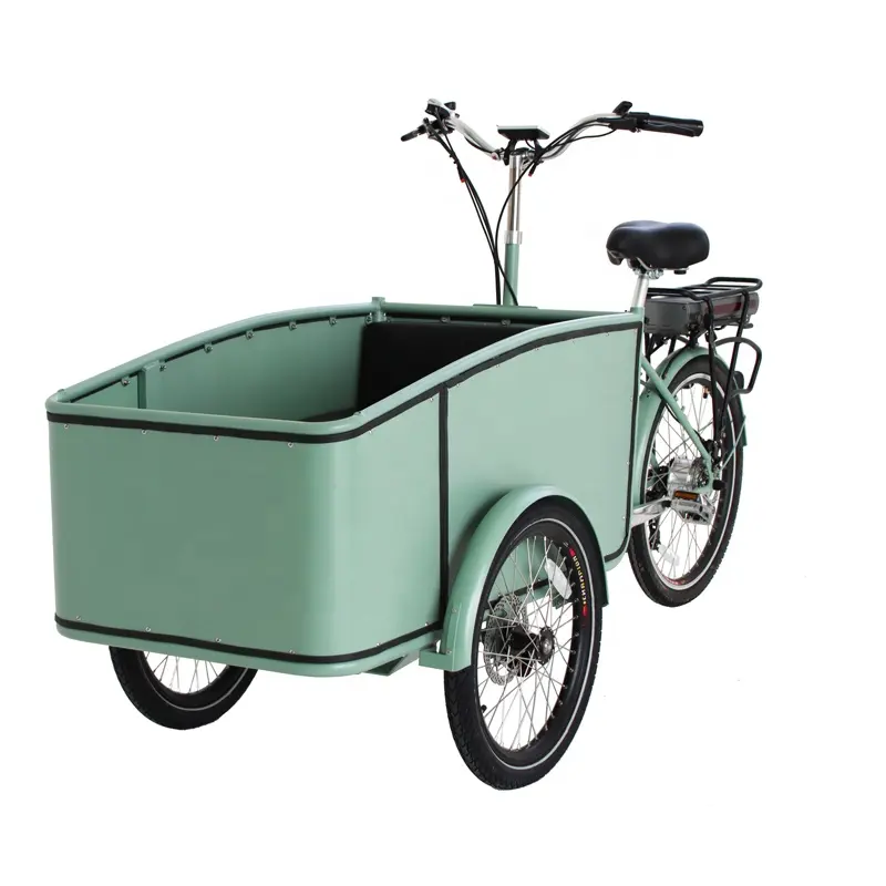 Hoge Kwaliteit Aluminium Cabine Elektrische Velomobile Cargo Fiets Met Kids Seat