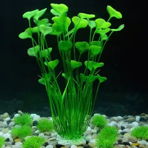 Mijnenveld Alternatief voorstel Speciaal Aangepast schoonmaken plastic aquarium planten om het uiterlijk te  verbeteren - Alibaba.com