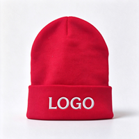 Bonnet en tricot à revers avec logo brodé personnalisé, chaud en acrylique pour l'hiver, pour hommes et femmes, vente en gros, sports de plein air
