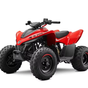 Motor CF0RCE 110 Premium, Monocilíndrico, 4 Tiempos, 107cc, Tipo DIY, Mango de Plástico, Frenos de Disco Hidráulicos OEM/ODM - Product Image 1