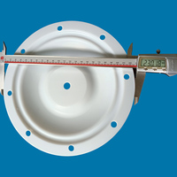 Diaphragme en PTFE blanc BLAGDON de haute qualité 25-016 pour l'industrie automobile, pompes à diaphragme à basse pression à commande pneumatique