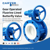 Válvula de mariposa manual de gas con engranaje sin fin revestido de flúor, tipo Lug, autoblocante, de gran diámetro, para desulfuración de aguas residuales, PN16, SS316