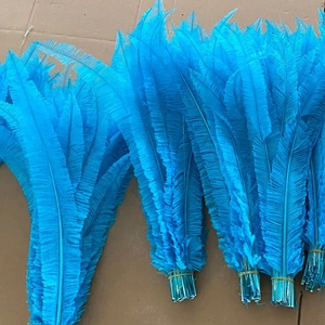 Plumas de Avestruz <span class=keywords><strong>Nandu</strong></span> al por Mayor de 50-55cm para Decoración de Fiestas, Hogar, Bodas, Manualidades, Sombrerería y Accesorios para el Cabello, Color Ciruela - Product Image 4