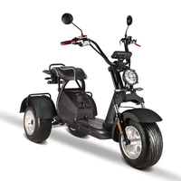 Tricycle électrique puissant Loyal 4000W, moteur performant, flexible, de haute qualité, scooter électrique à 3 roues
