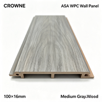 Panneau mural extérieur en WPC ASA noir résistant aux intempéries 100x16mm, parement ignifuge pour mur extérieur, maison moderne