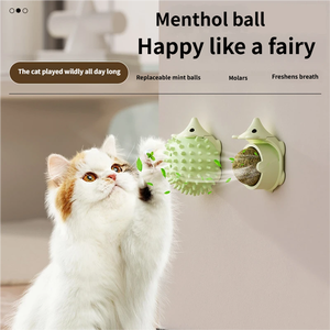 Dễ thương mèo nhai đồ chơi răng hàm làm sạch cắn kháng <span class=keywords><strong>catnip</strong></span> bóng thiết kế hài hước nhựa PET Nguồn cung cấp - Product Image 2