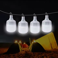 Ampoule LED en forme de T 30W pour le camping et la maison, B22/E27, rechargeable par USB, éclairage d'urgence en plastique
