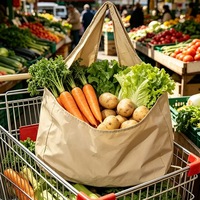 Sac fourre-tout pliable et réutilisable en nylon léger, portable, avec porte-clés, pour voyage et supermarché