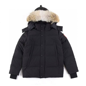 Parka Invernale da Uomo in Stile Classico, Alta Qualità, Caldo, Antivento, con Vera Pelliccia di Coyote, Imbottito in Piuma d'Oca - Product Image 5