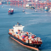 Shanghai vers Manzanillo Mexique FCL 40HQ Fret maritime DDP Transport routier transfrontalier Agent de fret FBA