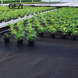 Mallas de Protección Contra Malezas de Color Verde Oscuro, Biodegradables, No Tejidas, Ecológicas, <span class=keywords><strong>para</strong></span> Agricultura, Fresas y Césped - Product Image 5