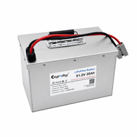 Paket Baterai Lithium LiFePO4 48V 51.2V 20Ah 1024Wh Cangkang Baja untuk AGV AMR Pengangkut Material Mesin Pembersih Lantai Industri