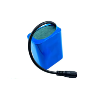 Paket Baterai Li-ion 18650 Grade A 11.1V 12V Custom 3S2P 5200mAh dengan Konektor DC untuk Kamera CCTV Keamanan