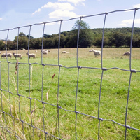 Grillage de clôture agricole en gros pour bovins, ovins et caprins, maille carrée, 164 pieds