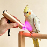 Lampe torche de thérapie par lumière rouge à cinq longueurs d'onde, 5 LED, garantie 1 an, rechargeable, portable, pour usage domestique et animaux de compagnie