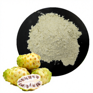 Doğal İçerik 10:1 20:1 Noni Meyve Ekstresi Tozu En İyi Fiyatla - Product Image 1