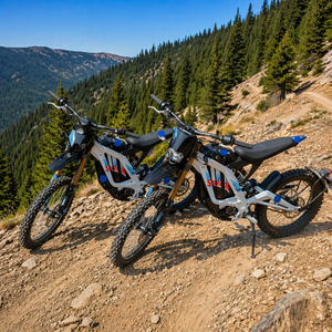 En stock – Moto tout-terrain électrique SurRon Light Bee X 2026, 10 kW de puissance, batterie lithium LBX 72V35AH <span class=keywords><strong>pour</strong></span> adulte – La <span class=keywords><strong>plus</strong></span> rentable - Product Image 3