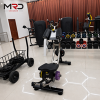 Machine à Crunchs Abdominaux, Équipement d'Entraînement pour la Taille et le Core, Appareil de Fitness pour la Salle de Sport et la Maison