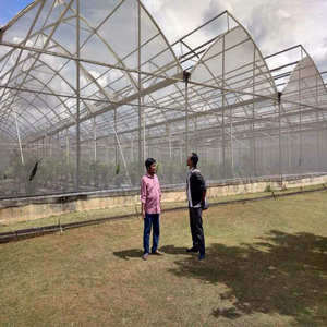 Serre en dents <span class=keywords><strong>de</strong></span> scie pour tomates et poivrons - Product Image 1