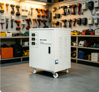 Régulateur de tension automatique biphasé AC BNS-15KVA avec affichage numérique, stabilisateur mobile AVR pour équipement industriel et commercial