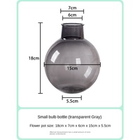 Vase de simulation créatif et moderne en plastique transparent pour arrangement floral séché, idéal pour le salon - Vente en gros