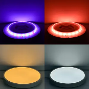Smart LED Decke ultra dünne Alexa Tuya Frau Lautsprecher Unterputz CCT Dimmbare RGB Hintergrund beleuchtung Raum Ambient 24w Smart Home Lichter