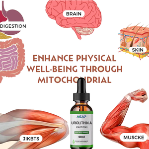 OEM Liposomal Liquid 60ml Urolithin-a Nad aumenta la función muscular Antioxidante Suplemento DE SALUD Gotas - Product Image 2