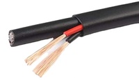 Câbles CCTV OEM ODM coaxiaux 0,81 mm en cuivre plaqué aluminium 75 ohms RG59+2C 300M pour le Portugal