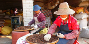 Bumbu Blended Anise Vietnam bintang dan bubuk buah mentah dan kering untuk obat Herbal bumbu setara dengan kayu manis - Product Image 5