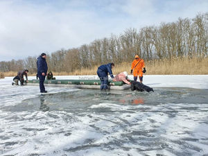 Sled Penyelamat Air Portabel Tiup, Ringan, Papan Penyelamat Darurat untuk Penyelamat, Penyelam, dan Peselancar - Product Image 6