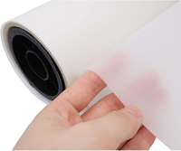 Vente en gros de rouleaux de film PET 30cm 60cm double face haute température transfert de chaleur DTF imprimante textile A4 film de papier transfert
