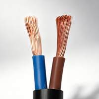 RVV 2-adriges CCA-Steuerkabel Kupfer-Aluminium-Verbundkabel mit PVC-Ummantelung Elektrisches Kabel