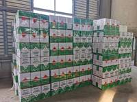Adhésif en spray universel ignifuge Green Health Hactory Direct Sale