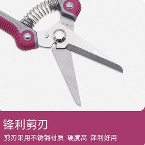 Nice Garden Shears Stainless Steel 58mm Straight Head Butterfly Design Pruning Scissors For Fruit Trees And Orchards - Product Image 2