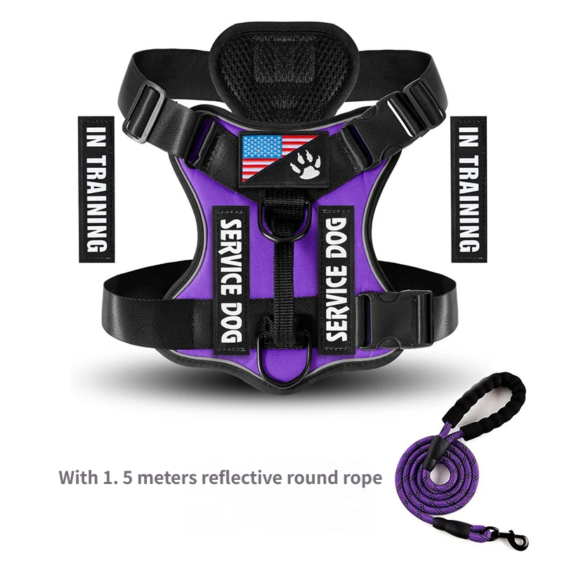 ENSEMBLE violet
