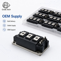 Module IGBT EVOL-EVWGM300B1-1170GDWB6EN 1700V 300A Triphasé Haute Fiabilité Faible Perte pour Commande de Moteur et Soudage
