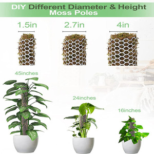 Kit de bâtonnets de mousse en plastique moderne de 12,6 pouces pour plantes en <span class=keywords><strong>pot</strong></span> d'intérieur et d'extérieur - Product Image 3