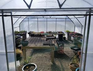 <span class=keywords><strong>Invernaderos</strong></span> Agrícolas Grandes Prefabricados para Uso Doméstico, Solárium de PE, Puerta Opaca, Toldo con Manivela, Cama Elevada, <span class=keywords><strong>Segunda</strong></span> <span class=keywords><strong>Mano</strong></span> - Product Image 3