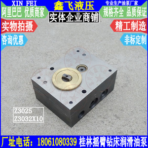 Pompe de commande Z3025 n° Pompe à huile radiale pour machines-outils Guilin, pour perceuses; Pompe à engrenages Z3032X10; 24 - Product Image 1