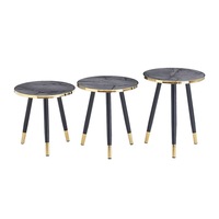 Table d'appoint moderne et élégante en acier inoxydable, légère, pour l'extérieur, idéale pour ferme, école, hôtel, salle de sport, salle de bain