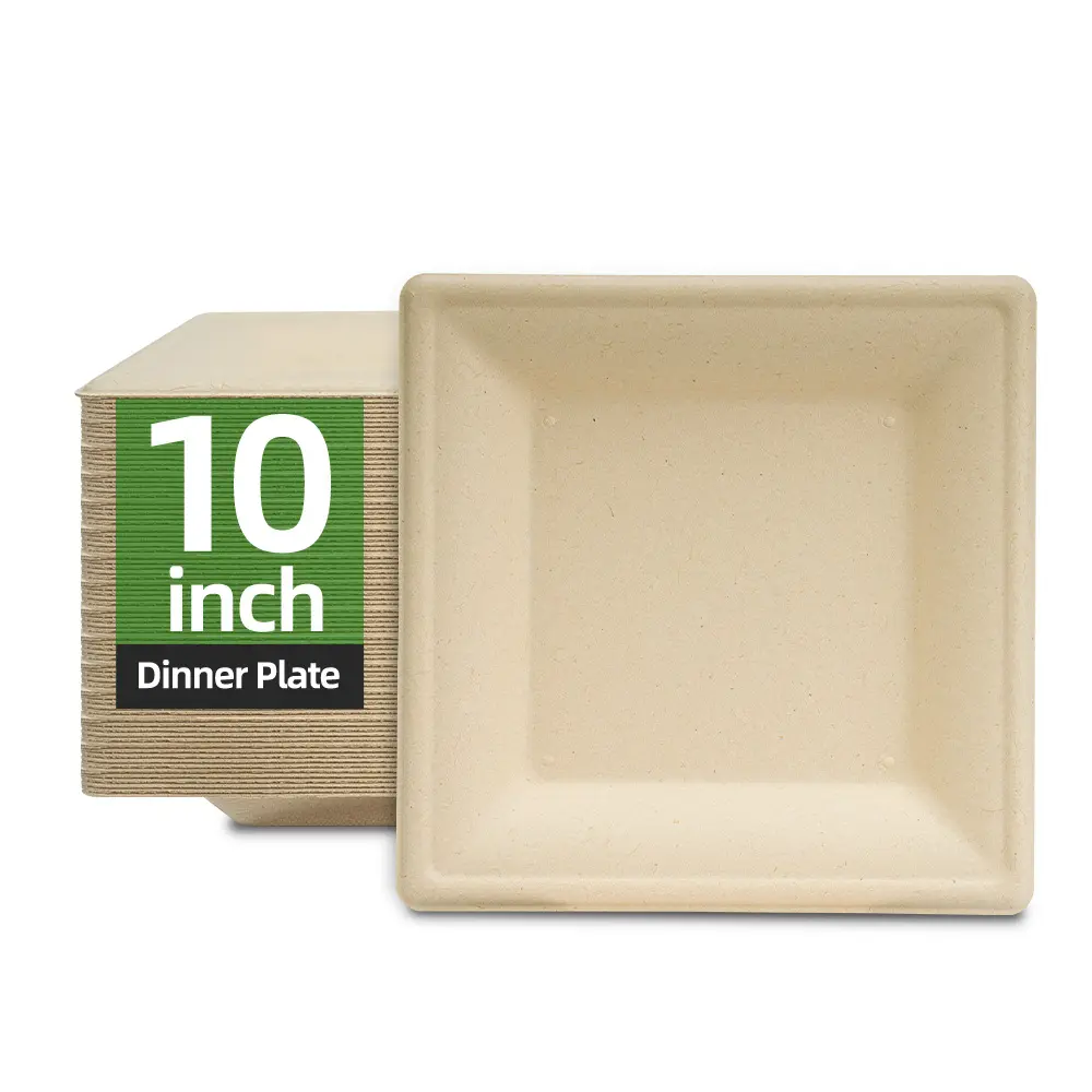 Piatto di bagassa biodegradabile rettangolare da 10 pollici compostabile in carta compostabile piatto di bagassa naturale usa e getta per ristorante di canna da zucchero