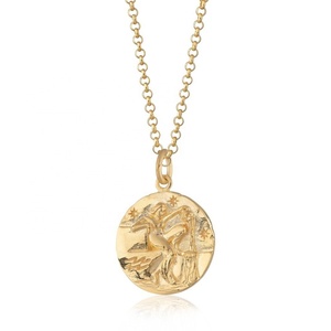 Collar con Colgante del Zodiaco <span class=keywords><strong>Acuario</strong></span> de Plata de Ley 925 Chapado en Oro de 14k, Elegante y Exquisito, Personalizado por Maimang, para Mujer y <span class=keywords><strong>Hombre</strong></span> - Product Image 1
