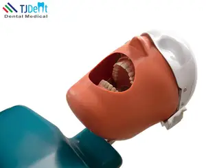 Simulator model kepala gigi, manekin phantom dengan kepala phantom manekin gigi