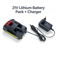 Pack de batteries au lithium 21V + étui de chargeur, certificat TUV pour outils électriques (tondeuse à gazon/perceuse), exclusif aux plateformes de commerce électronique