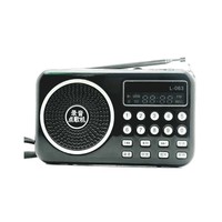 L063 L-063 Lecteur MP3 portable rechargeable avec enregistrement numérique, carte TF, radio FM, mini radio avec prise USB