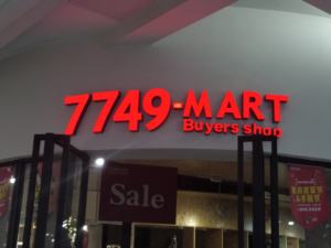 Enseigne commerciale LED personnalisée en acier inoxydable étanche, lettres en relief, pour extérieur, décoration murale pour écoles - Product Image 4