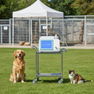 Masajeador de Ondas de Choque Reutilizable BM Seven ColorEnery para Perros/Gatos/Caballos - Doble Propósito Veterinario Ortopédico, Venta al Por Mayor del Fabricante - Product Image 3