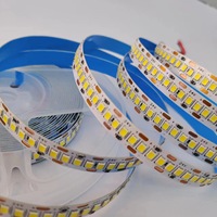 Strip LED SMD2835 18W 240LED/M 10mm 12V/24V RGB Putih Hangat Merah Hijau Biru Tahan Air Kontrol Jarak Jauh Wi-Fi IP67 CRI90 Garansi 5 Tahun