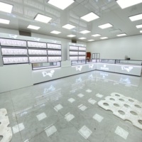 Comptoirs en verre trempé transparent avec éclairage LED et cadre en acier inoxydable durable, personnalisables pour l'aménagement de toute une boutique, usage commercial
