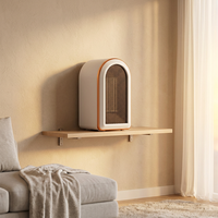 Mini radiateur portable, chauffage rapide, petit chauffage de bureau, petit chauffage personnel pour la pièce, faible bruit, économie d'énergie, utilisation à domicile ou au bureau en hiver